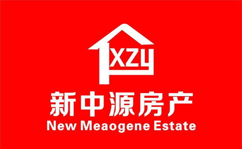 吉安市吉州区新中源房地产经纪 专业服务的行业典范